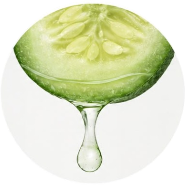 Fresh Cucumber Extract